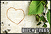 Trees: Birch