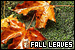 Fall/Autumn Leaves
